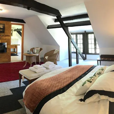 Gasthuis Le Domaine Du Moulin Foulon 3*