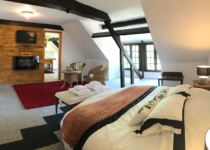 Casa de hóspedes Le Domaine Du Moulin Foulon 3*